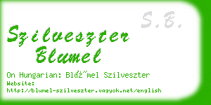 szilveszter blumel business card